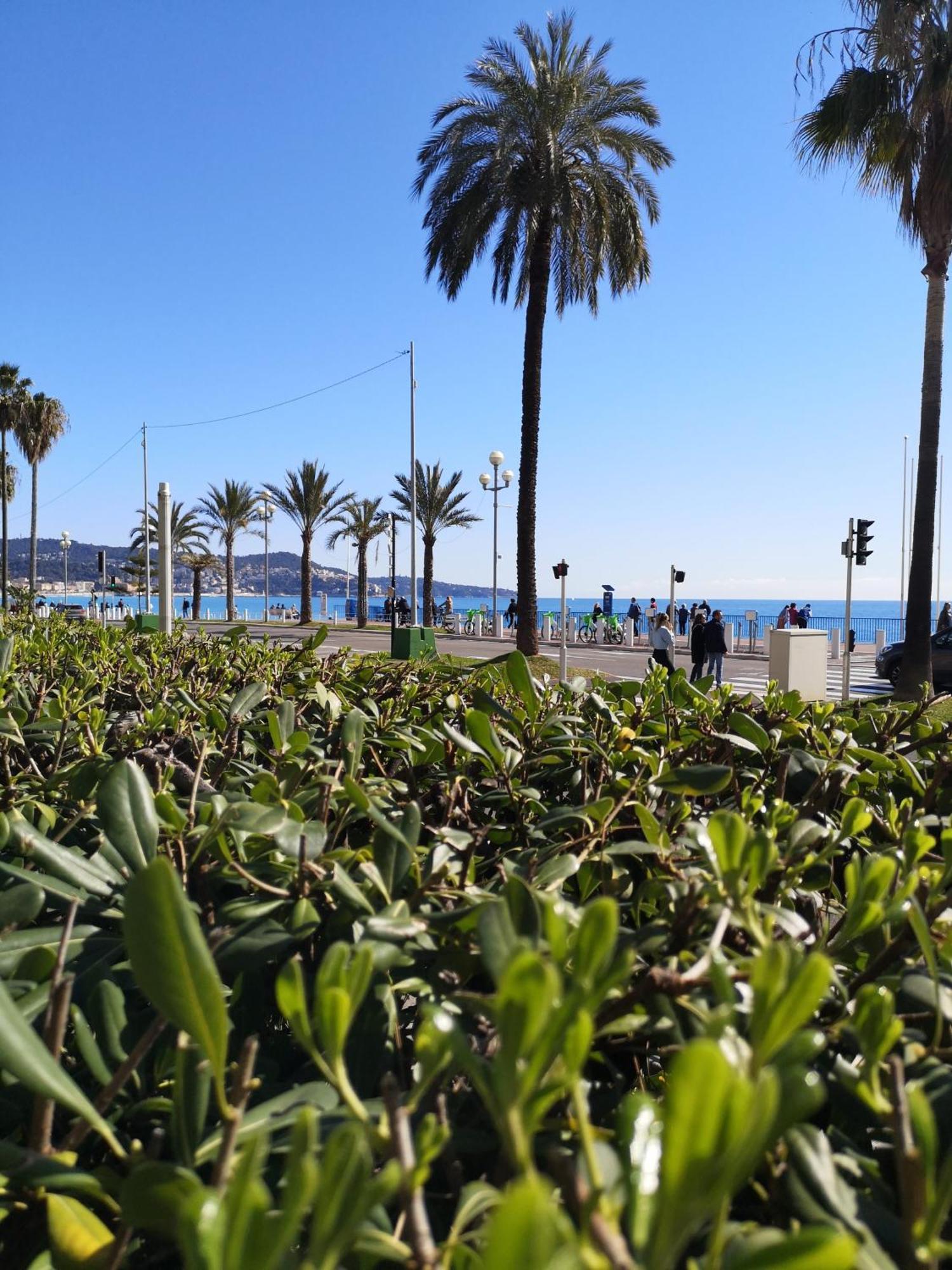 Апартаменты Garden Atlantide Promenade Ницца Экстерьер фото