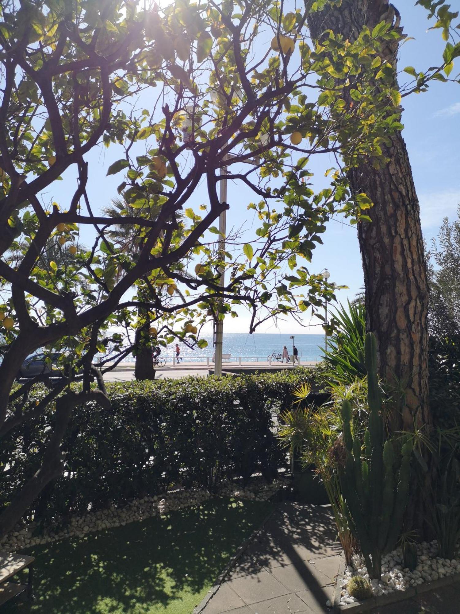 Апартаменты Garden Atlantide Promenade Ницца Экстерьер фото