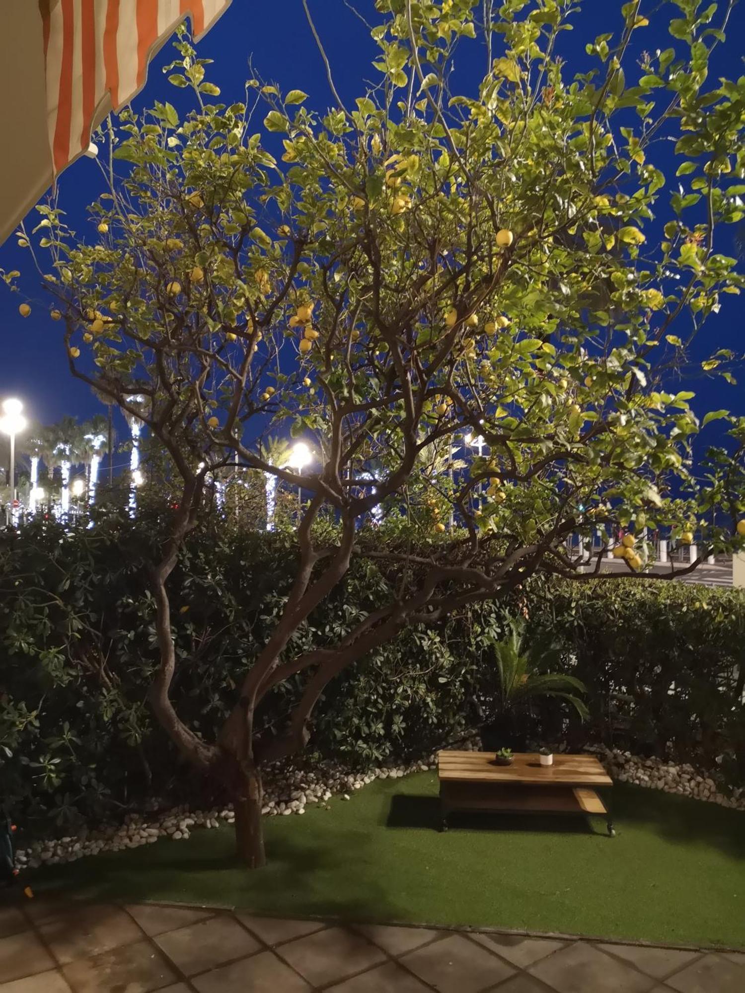 Апартаменты Garden Atlantide Promenade Ницца Экстерьер фото